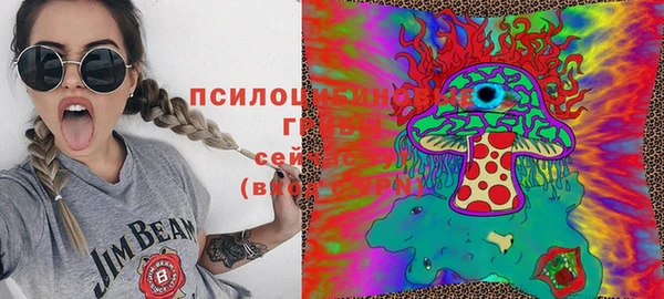 бошки Зеленокумск