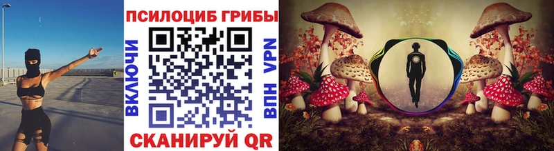 Купить закладки  Старый Крым  Псилоцибиновые грибы Psilocybe 
